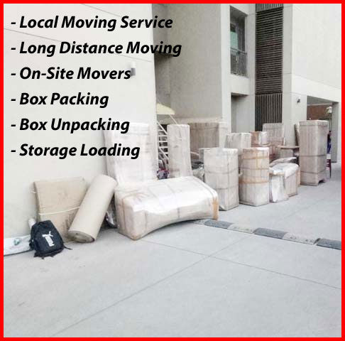 Packers And Movers Noida Sector 41